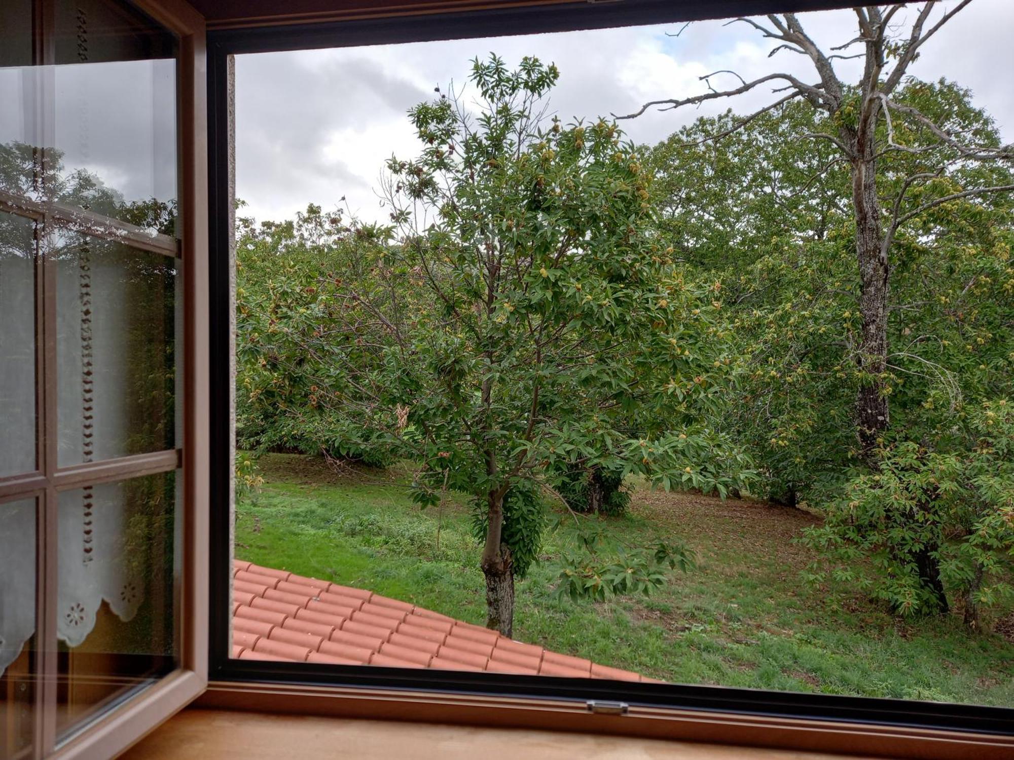 Bed and Breakfast O Bilho Vinhais Exterior foto